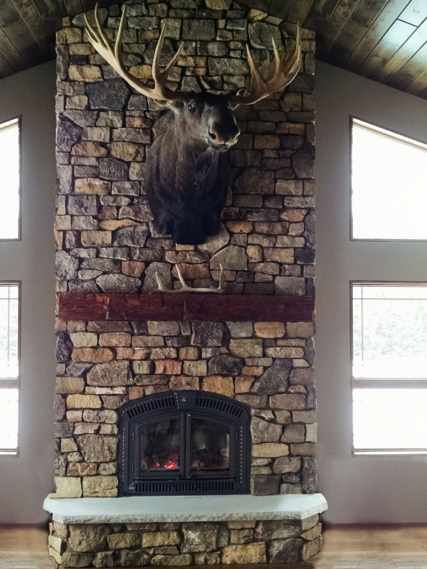Wood Fireplaces